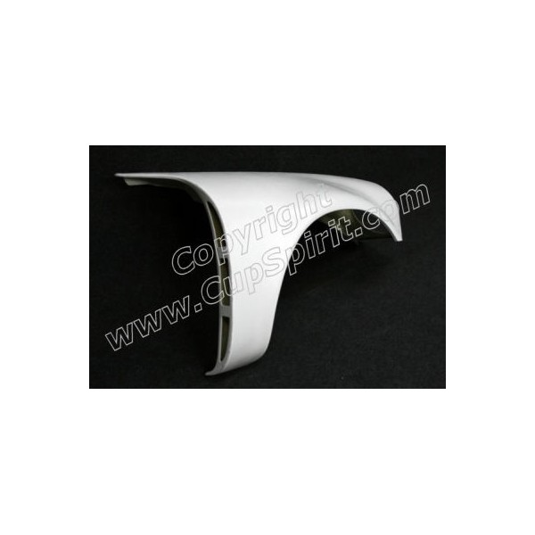 Paire ailes avant 3.0L RSR